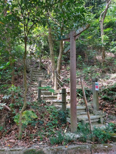 10810聚興山、新田登山步道833905