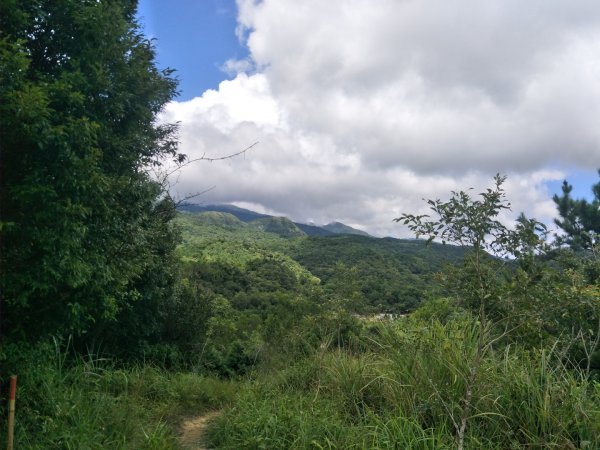 鵲子山步道1791355