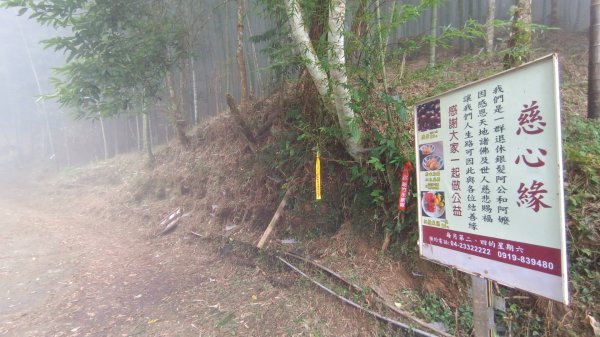 溪頭大崙山“樟空崙山步道+羊頭崙山步道+竹崙/志騰山步道”七連峰（大石公起登大O繞）1905082