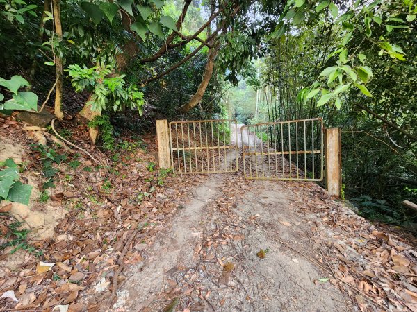 20241222二載山與大橫屏山南峰(追加鹽菜甕山、鹽菜甕下山)2721487