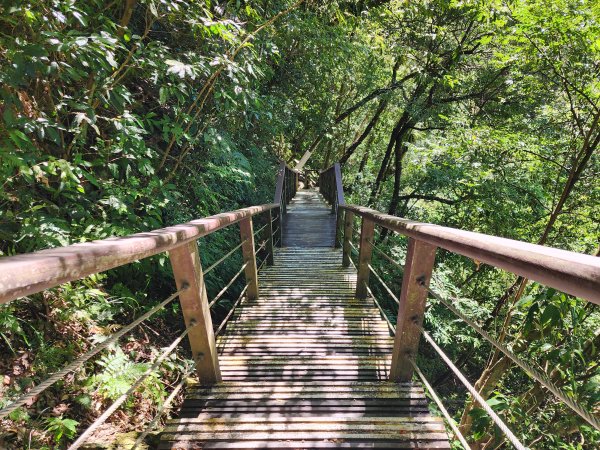 新北烏來｜內洞國家森林遊樂區步道群2904744