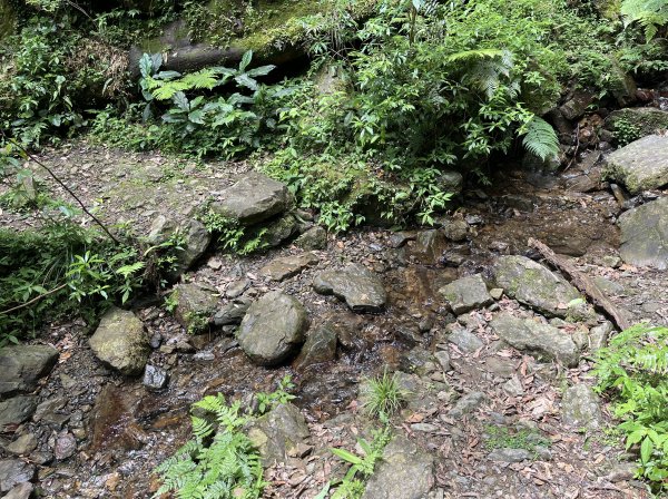 2025_0601 北插天山2802342