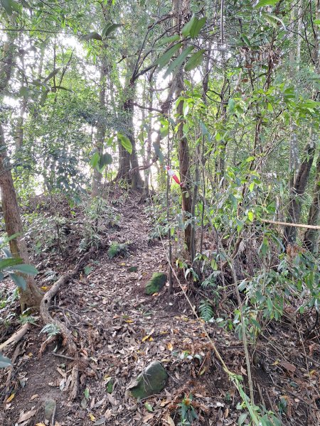 仙山古道群峰O型2693643