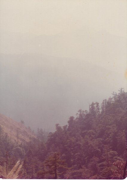 雪山主東峰賞雪行(民國71年)711203