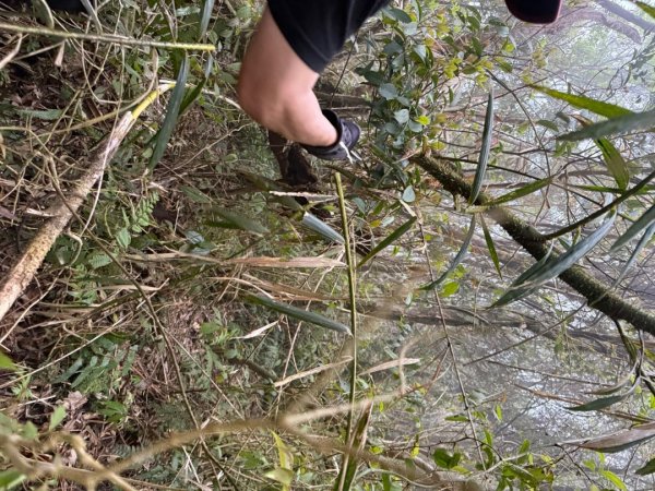 桂山路197巷 》呂奔山北峰 》呂奔山 》阿玉壩2755824