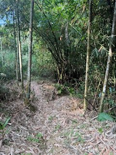 20250517 建安+鳥嘴+雙港子群峰 O型2788285