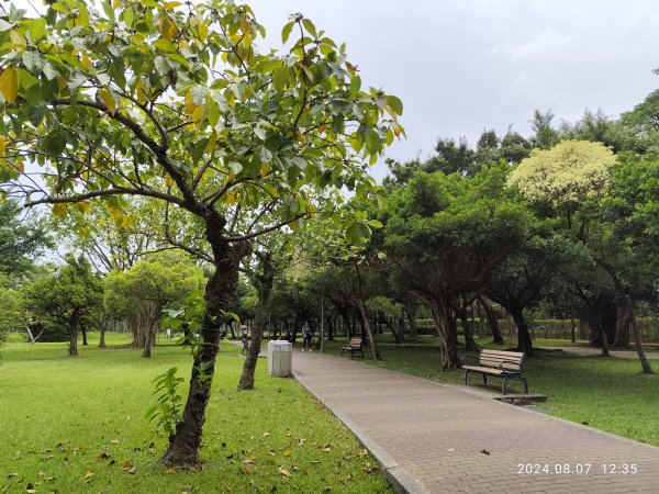 《大安森林公園》【走路趣尋寶】【臺北健走趣】2567433