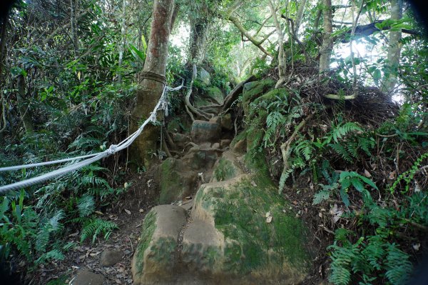 桃園 大溪 新溪洲山、溪洲山、林嵩壽山、內湳溝山、頭寮山3006213