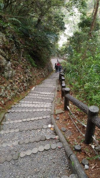 波津加山半日遊（谷關七雄）213407