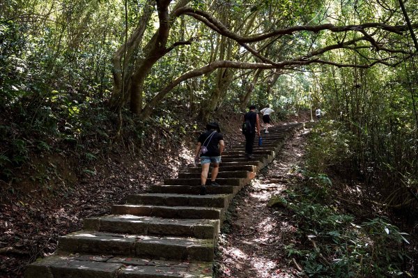 觀音山 硬漢嶺2870046