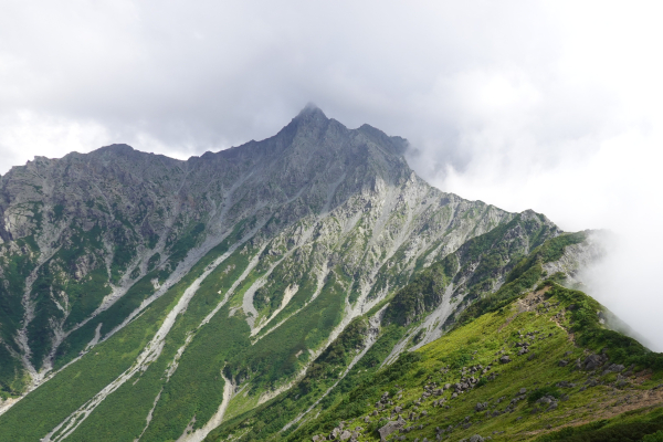 【日本】西銀座／鑽石銀座Ｄ３：又遇到一群雷鳥、雨中走西鐮尾根上槍岳、入住槍岳山莊