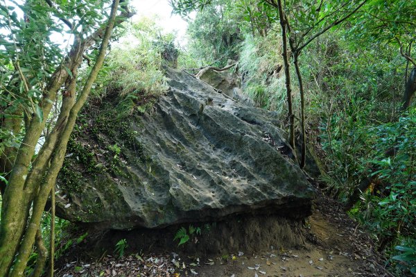 新北 石碇 皇帝殿東峰2628221