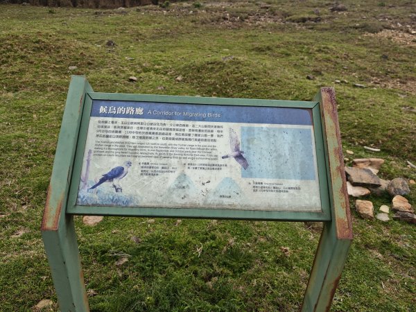 [山海圳_聖山之路_第二段3/4] 2026_0802 麟趾山3109253