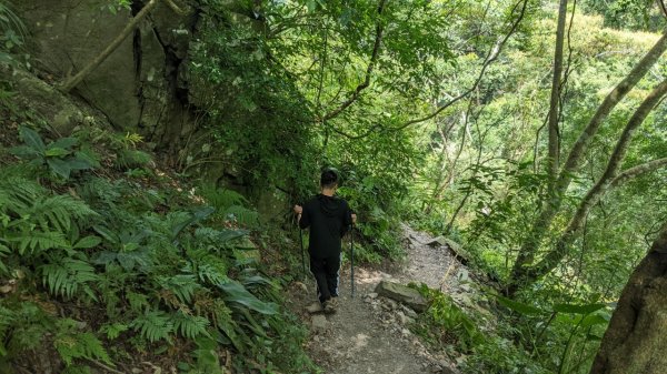 蝴蝶谷瀑布步道｜唐麻丹山登山步道 (松鶴部落上)1900082