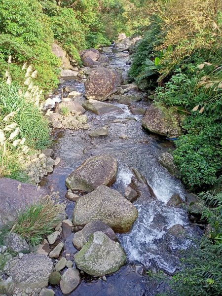 【南山神壽任務尋寶趣】流水潺潺的坪頂古圳親山步道→清風亭→大崎頭步道1591342