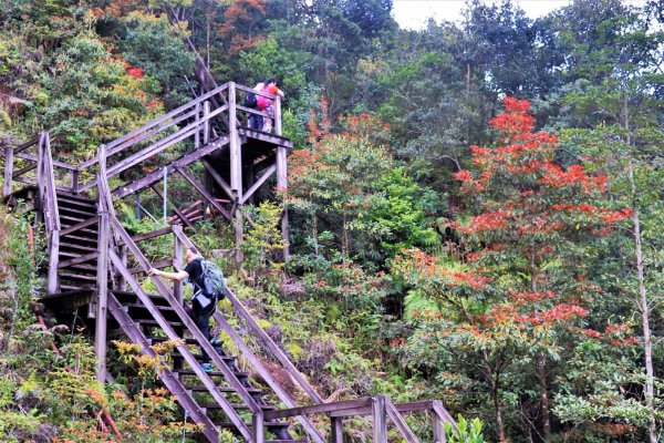 HK - 彌勒山946457