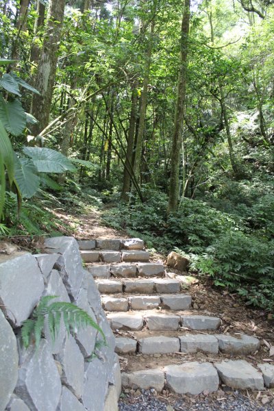 淡蘭南路獵狸尖步道1002661