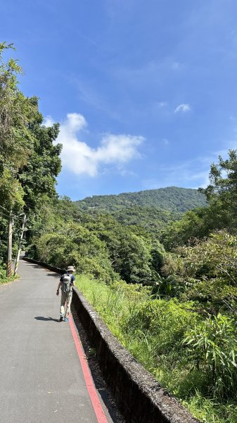 夏日避暑古道→坪頂古圳．坪頂新圳．登峰圳.大崎頭O型2285693