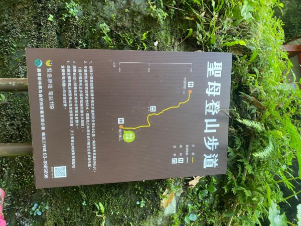 1130715三角崙山及聖母山步道2640410