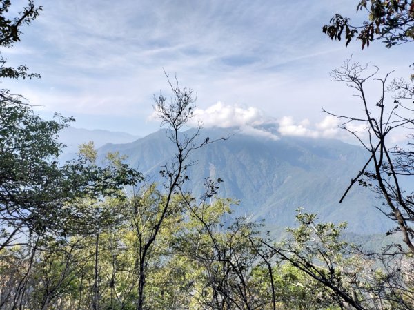 卓社林道行車終點-分分山-分分山南峰 2021.5.231406993