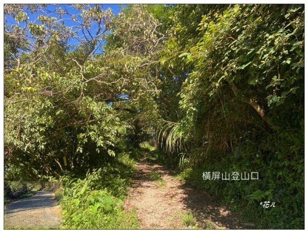 武界山、獅凸魯山、橫屏山、橫屏山西峰 連走2846111