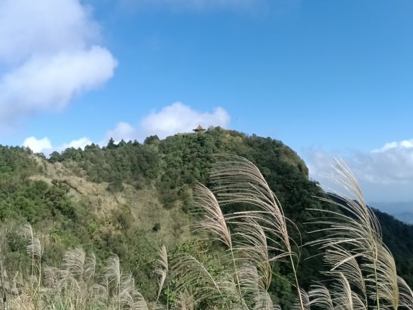 基隆市暖東舊道+頂子寮山+五分山步道(五分山)去回2946185