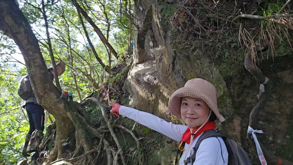 20260112月扇湖山&四分子古道O走+烏塗溪步道2986517