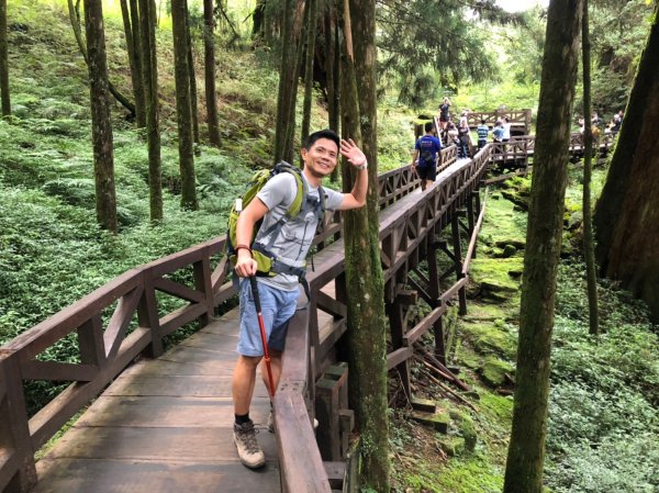 阿里山神木群棧道【挑戰玉山前的暖身之旅】635100