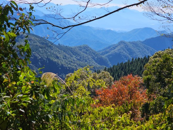 稍來山賞楓2962561