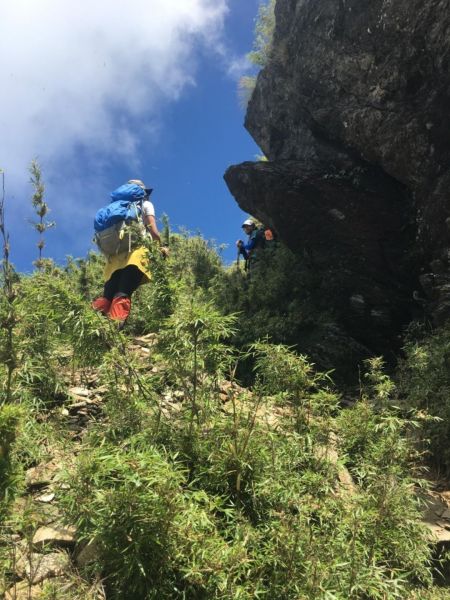 20170910郡大山353362