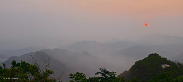 #山羌 #親子檔 #二格山 #日出 #雲海 #晨霧 4/113033446