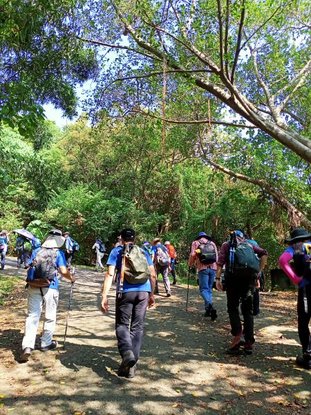 【小百岳集起來】樹林大同山、青龍嶺、大棟山連走鶯歌石步道、孫龍步道1479247