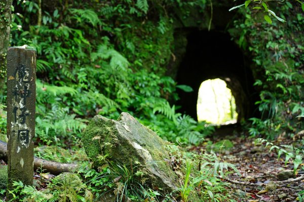 新北 平溪 薯榔尖、石筍尖、魔神仔洞2772548