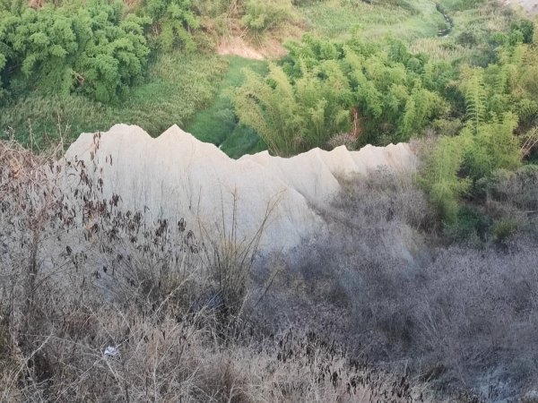 田寮月世界地景步道-(高雄)臺灣百大必訪步道2486165