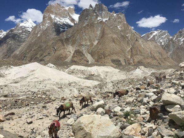 喀喇昆侖山K2基地營健行647859