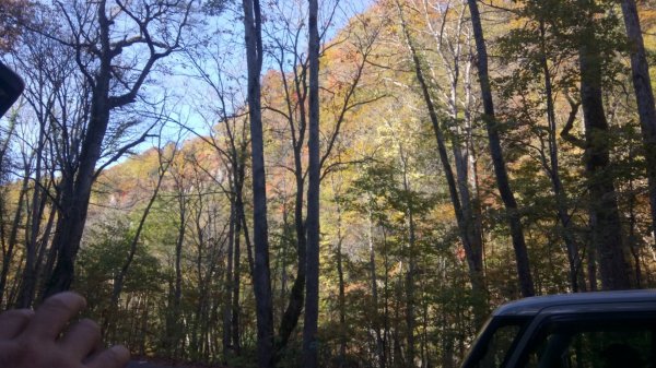 奧入瀨溪健行444357