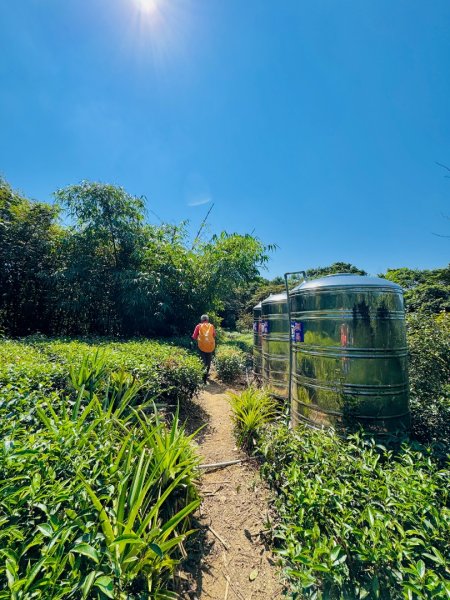 二格公園走小格頭獅頭山 千島湖看鱷魚 雲海國小爬雲海山回二格公園3134034