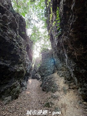 【高雄田寮】小百岳大崗山x大崗山磐龍峽谷步道3013153