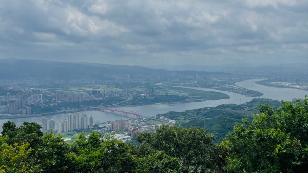 占山+小北插2863660