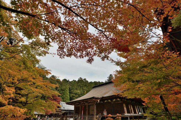 湖東三山紅葉行之一~ 西明寺