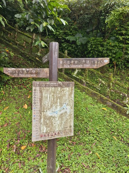 新北市/台北市-二格山3053854