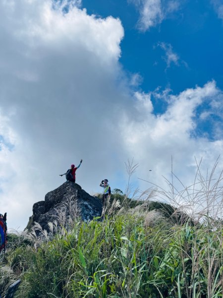 小觀音西峰 二子坪步道 小油坑山3129483