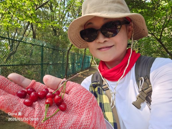 鳳山縱走五連峰3026918