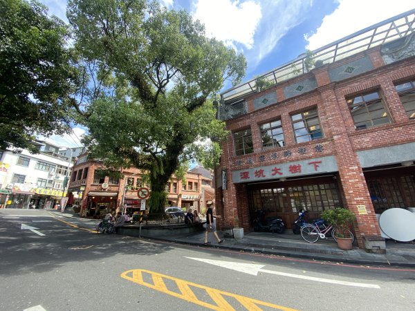 深坑 O 型環走｜大崎嶺步道・林家草厝・茶山古道・炮子崙瀑布（含冷門山徑）2895095