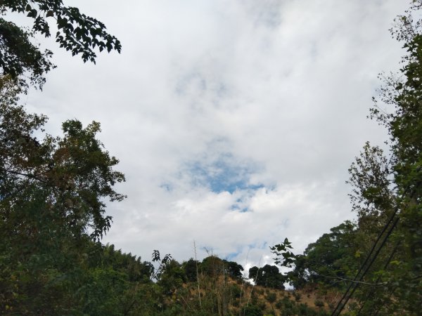 20211127_聚興山1528389