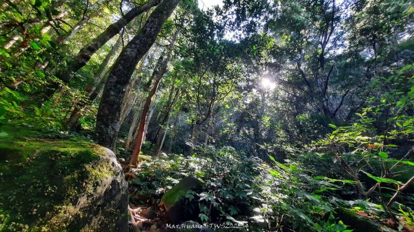 《新竹》斷崖神木｜北得拉曼步道小P繞202510172917472