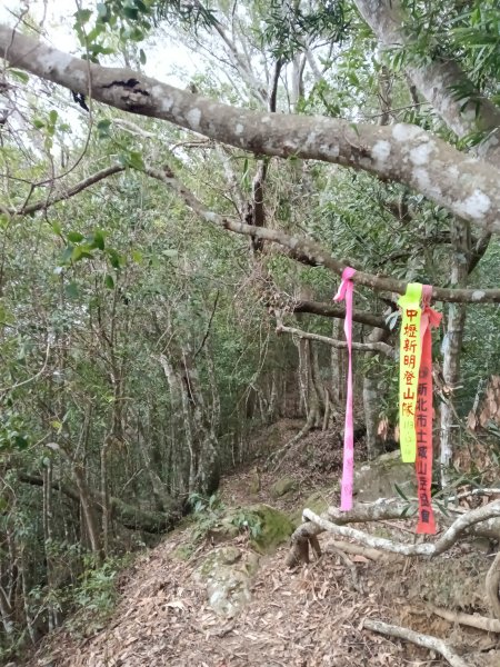 枕頭山-枕頭山西峰2733970