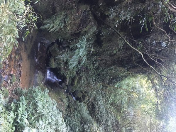 六寮崙山、雞罩山、白雞山8字走2371101