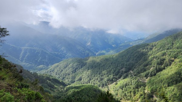 玉山前峰，關子嶺大凍山，宜蘭拳頭姆自然步道2313384