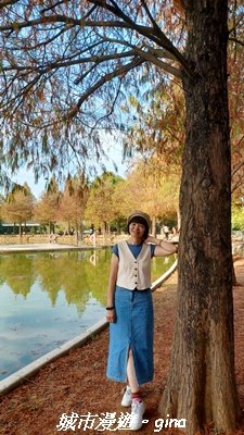 【南投名間】欣美創意園區~落羽松2968338